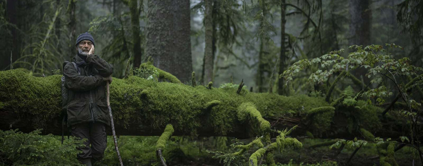 banner_Das_Fluestern_der_Waelder