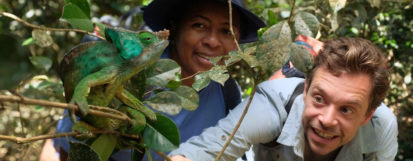 banner_checker_tobi3